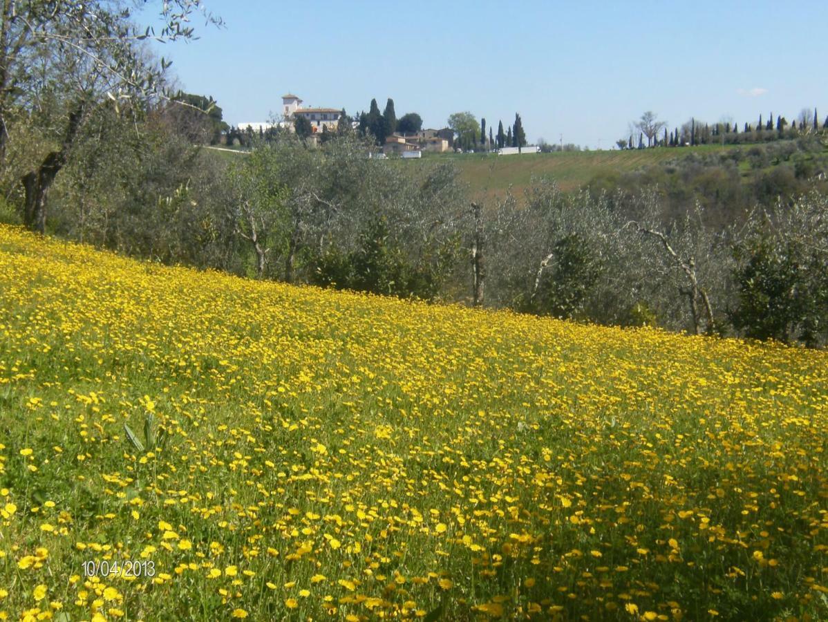 סן קאסיאנו ב-ואל די פזה Le Massucce מראה חיצוני תמונה